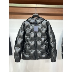 Louis Vuitton Down Jackets